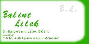 balint lilek business card